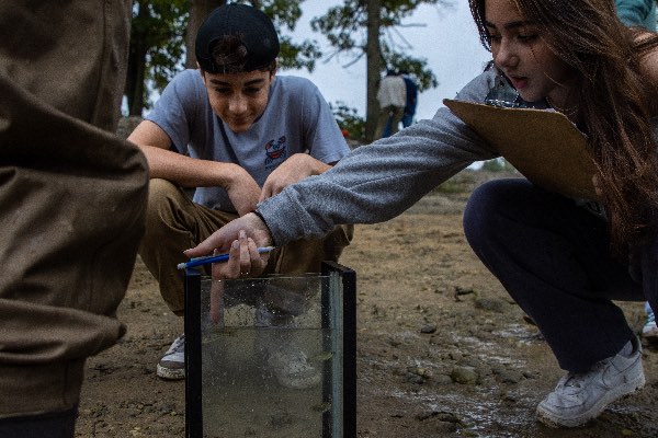 SCS Service Learning